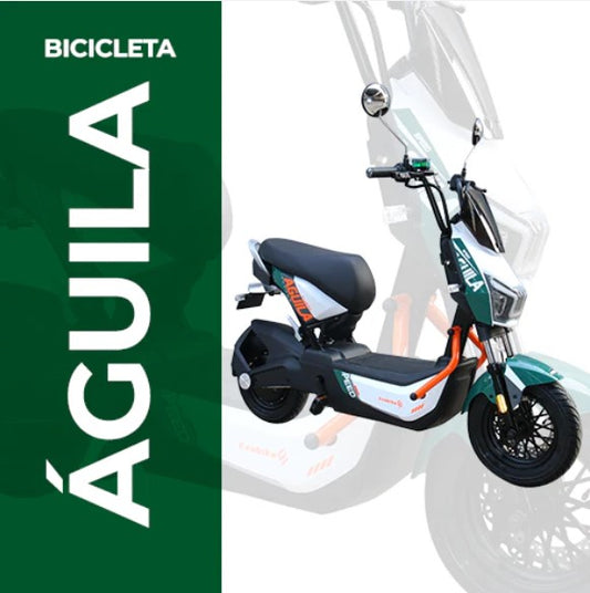 Águila