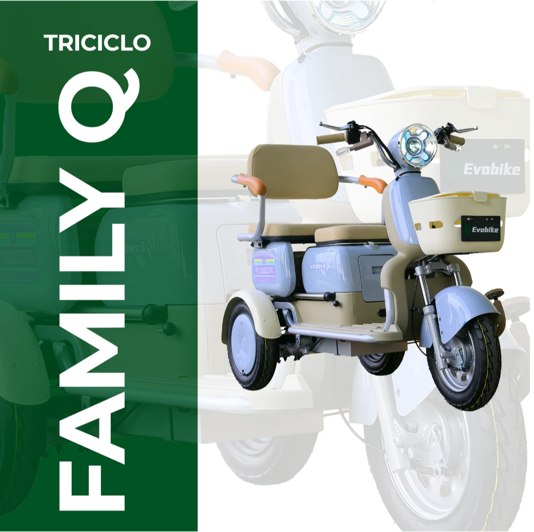 Family Q