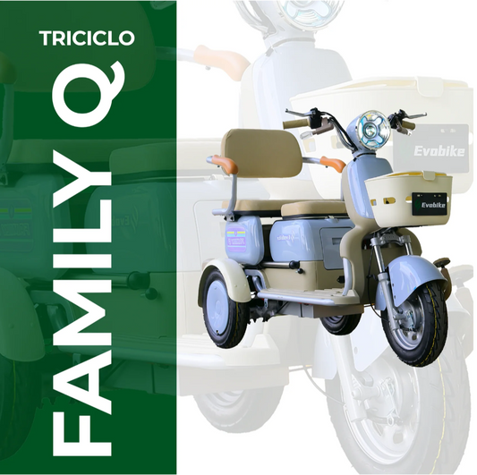 Family Q